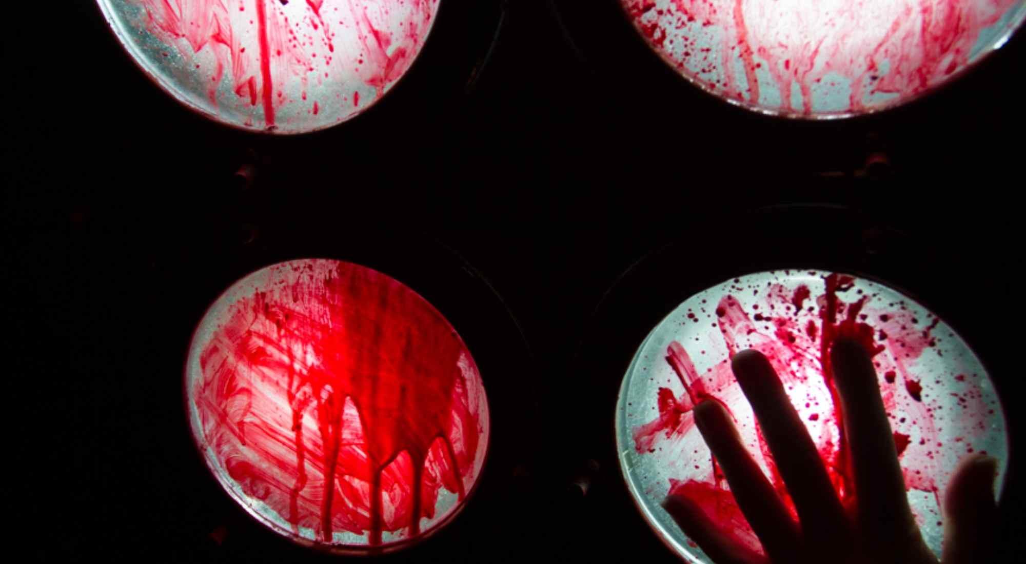 квест Лавка мясника в Пскове фото 0