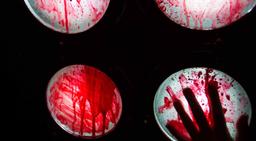 квест Лавка мясника в Пскове фото 0