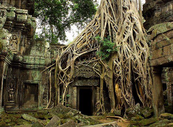 Квест Мистические джунгли в Пскове